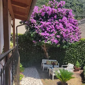  Appartamento La Bouganville E Il Gelsomino